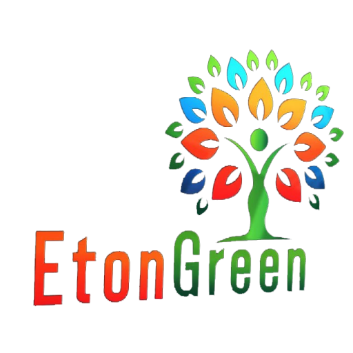Eton Green-Let’s make a better future
